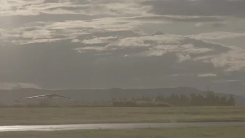 Microlight preparing for take off and in flight Stock Footage 147514866