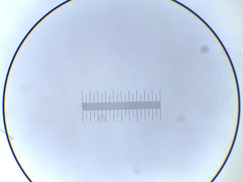 Micrometer Scale Under Microscope 스톡 사진