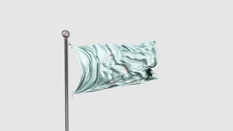 Micronesia Flag  Animation Loop Include Alpha 3D Rendering Stock-Footage 283050596