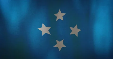 Micronesia flag fabric texture waving in the wind. Stock Footage 99015959
