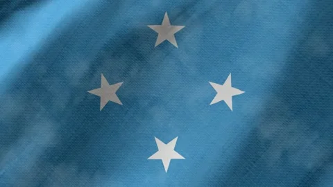 Micronesia flag waving background with real fabric texture 스톡 동영상 291917184