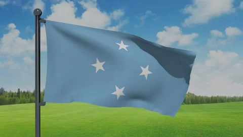 Micronesia,Federated States of Flag Stock Footage 151862443