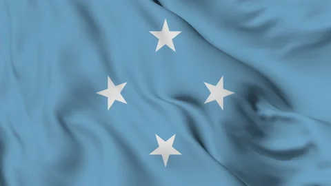 Micronesian flag seamless waving Stock Footage 168214513