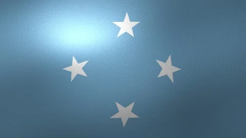 Micronesia's flag waving with a light effect and a subtle texture Stock Footage 345999853