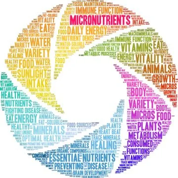 Micronutrients Word Cloud Illustrazione stock