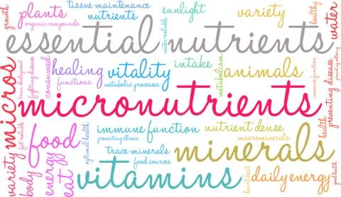 Micronutrients Word Cloud Ilustração Stock