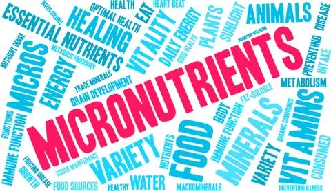 Micronutrients Word Cloud Stock Illustration