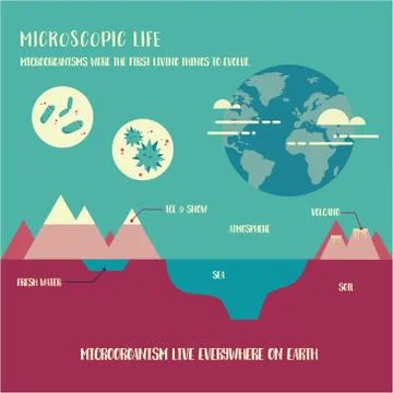Microorganism life Illustrazione stock
