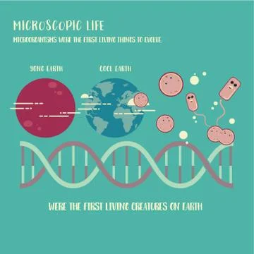 Microorganism life Stock Illustration