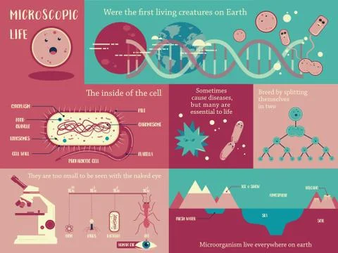Microorganism life Stock Illustration