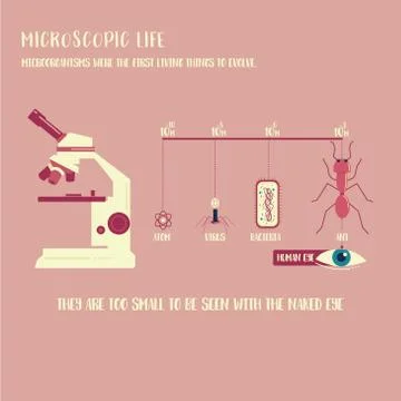 Microorganism life Stock Illustration