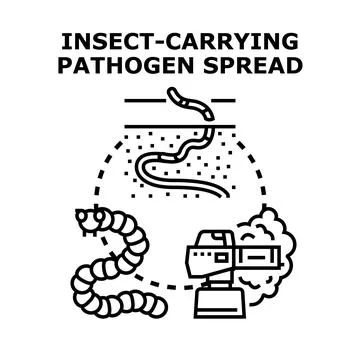 Microorganism spread vector control and prevention Illustrazione stock