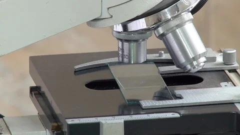 Microorganism study under a microscope closeup. Video stock 127321561