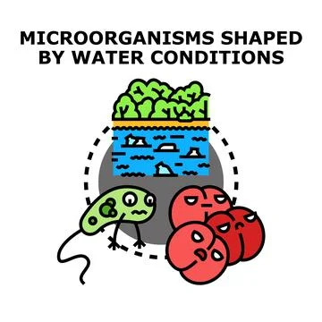 Microorganisms adapting to different water conditions concept 스톡 일러스트
