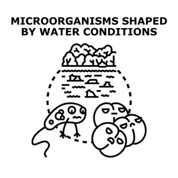 Microorganisms adapting to different water conditions concept Stock Illustration