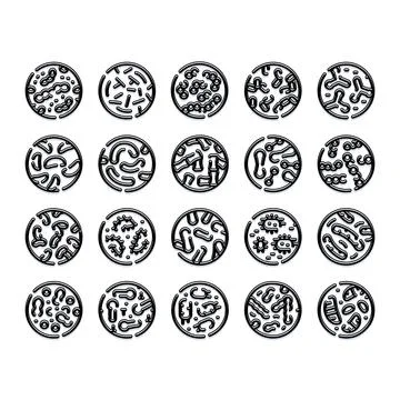 Microorganisms and bacteria cells under microscope outline icons Illustrazione stock