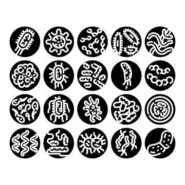 Microorganisms and bacteria types illustrating illness and infection Stock Illustration