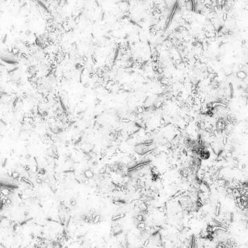 Microorganisms and various bacteria causing human disease under strong Stock Photos