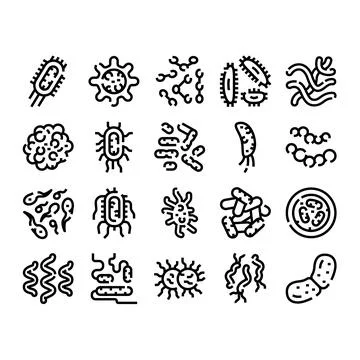 Microorganisms bacteria virus germ line art icons set Stock Illustration