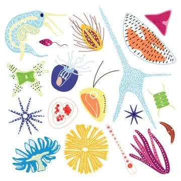 Microorganisms of marine plankton set of flat vector illustrations isolated . Stock Illustration