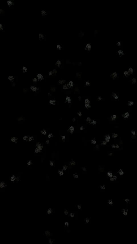 Microorganisms multiplying rapidly on black background. Stock Footage 329936298