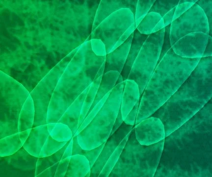 Microorganisms plant texture Ilustração Stock