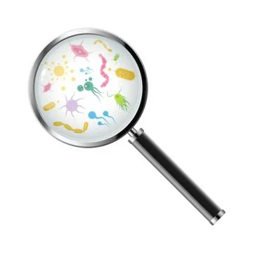 Microorganisms under a magnifying glass vector design Stock Illustration
