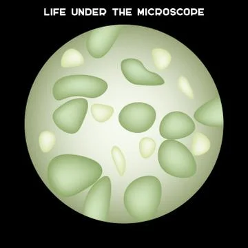 Microorganisms under microscope Stock Illustration