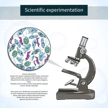 Microorganisms under the microscope. Scientific laboratory Illustrazione stock