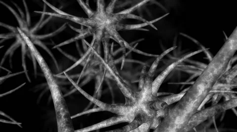 Microorganisms.Seamless loop Stock Footage 46350357