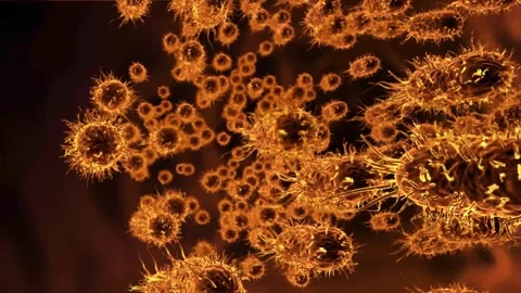 Microorganisms.Viruses under microscope Stock Footage 241897621