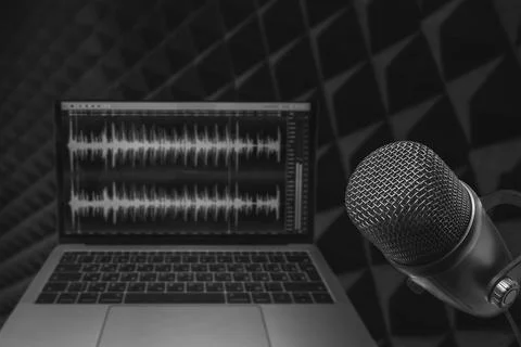 Microphone and wave form on the screen Fotos de archivo