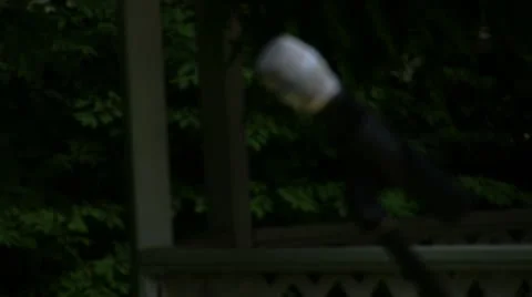 Microphone Close Up Vidéo 12547101