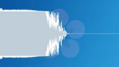 Microphone feedback 0001 Sound Effect