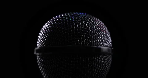 Microphone Head Spinning Stock Footage 170449810