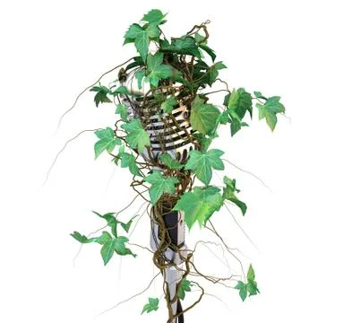 Microphone Stock Illustration