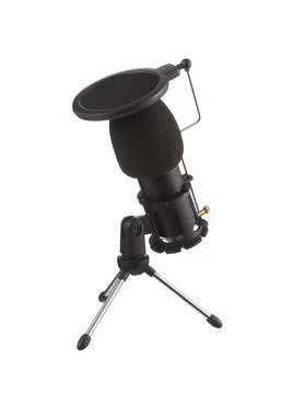 Microphone isolated on white background. Condenser microphone with shock moun 스톡 사진