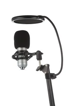 Microphone isolated on white background. Condenser microphone with shock moun Foto stock