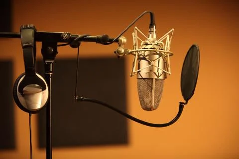 Microphone 스톡 사진