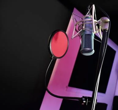 Microphone in Recording Studio Booth  Фото