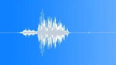 MICROPHONE, VOCAL Sound Effect