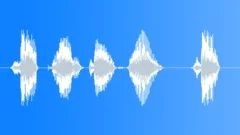 MICROPHONE, VOCAL Sound Effect