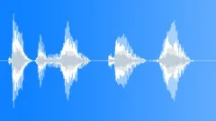 MICROPHONE, VOCAL Sound Effect
