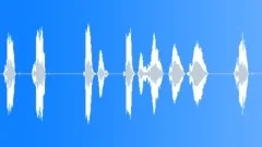MICROPHONE, VOCAL Sound Effect