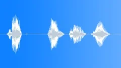 MICROPHONE, VOCAL Sound Effect
