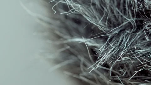 Microphone wind muff dead cat close up macro hair Stock Footage 119119993
