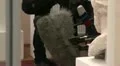 Microphones at the press-conference HD Footage