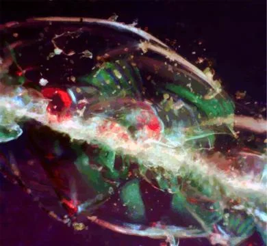 Microphoto microcrystals in polarized light, microscope artwork, background 스톡 사진