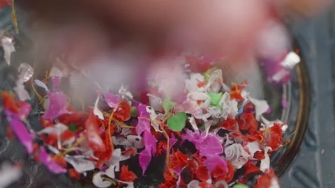 Microplastic particles fall into a sample container, colorful bits arranged.. Stock Footage 290354011