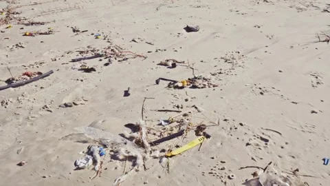 Microplastic. Polluted Beach with Trash and Debris on Sand Video stock 341369900